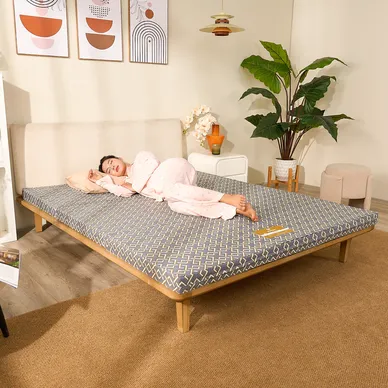 Nệm Bông ép Wonjun Pure (Gấp 3) - Ảnh 12