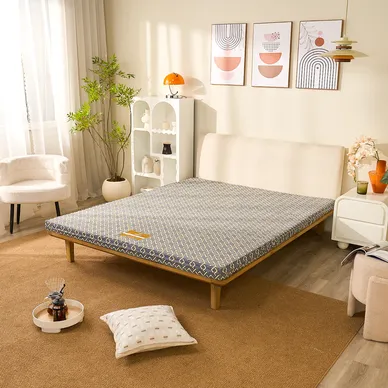 Nệm Bông ép Wonjun Pure (Gấp 3) - Ảnh 2