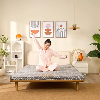 Nệm Bông ép Wonjun Pure (Gấp 3) - Ảnh 21