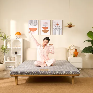 Nệm Bông ép Wonjun Pure (Gấp 3) - Ảnh 20