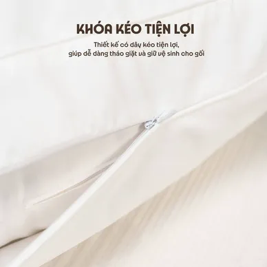 Gối bông Amando Kapok - Ảnh 4