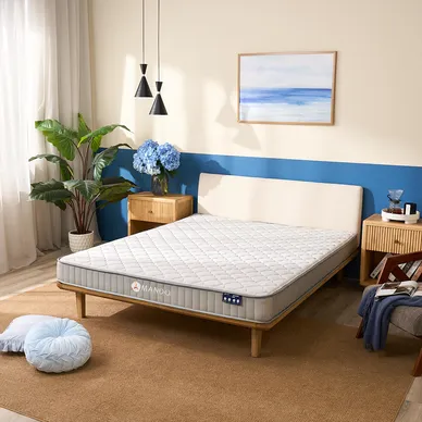 Nệm lò xo Amando Eco - Ảnh 2