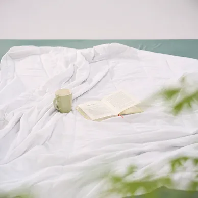 Chăn lụa băng Goodnight Snow Silk - Ảnh 16