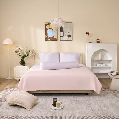 Bộ chăn ga Amando Comfort Lyocell Standard - Ảnh 12