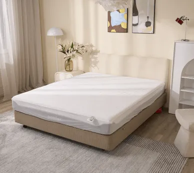 Bảo vệ nệm Goodnight Silk Cool - Ảnh 10