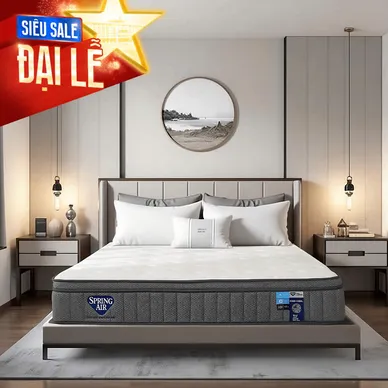 Nệm lò xo Spring Air Back Supporter Firm Cool nâng đỡ làm mát dày 26cm - Thumbnail