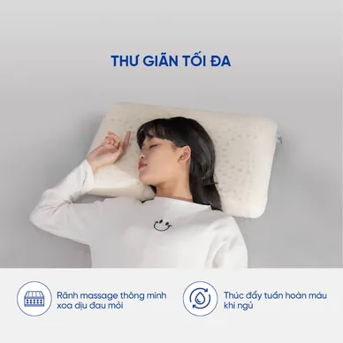 Gối cao su Gummi Evora 100% thiên nhiên massage thoáng khí - Thumbnail