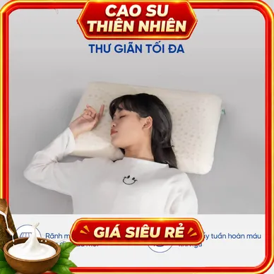 Gối cao su Gummi Evora 100% thiên nhiên massage thoáng khí - Thumbnail