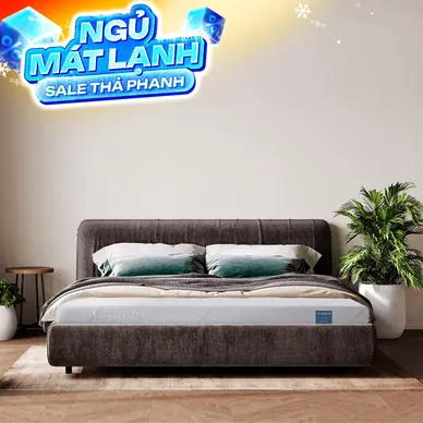 Nệm foam Comfy Cloud 1.0 thoáng khí vượt trội dày 12cm - Thumbnail