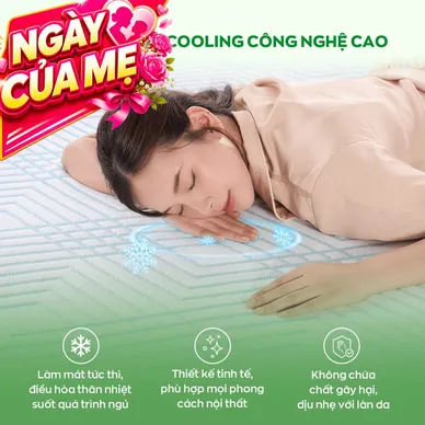 Nệm Gummi Signature – Công nghệ kép, nâng đỡ vượt trội, kháng khuẩn tối đa - Thumbnail
