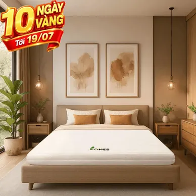 Nệm cao su Gummi 7zones nhập khẩu dày 12cm - Thumbnail
