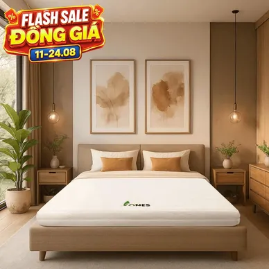 Nệm cao su Gummi 7zones nhập khẩu dày 12cm - Thumbnail