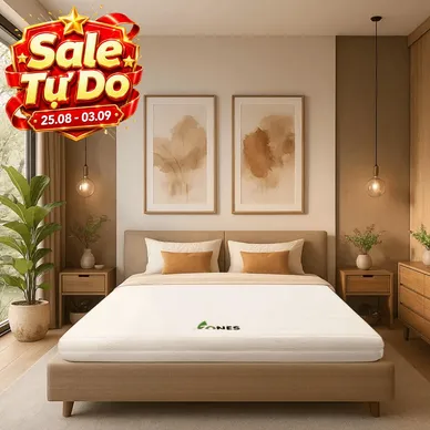 Nệm cao su Gummi 7zones nhập khẩu dày 12cm - Thumbnail
