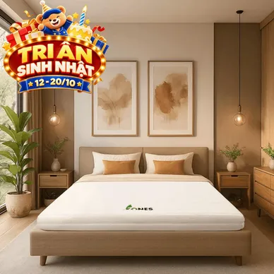 Nệm cao su Gummi 7zones nhập khẩu dày 12cm - Thumbnail