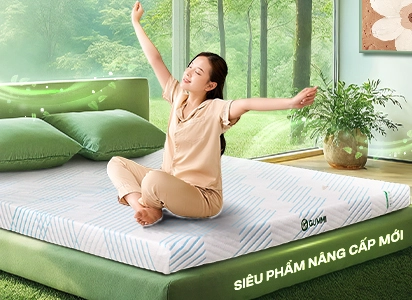 Flashsale - Banner nệm