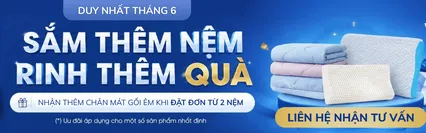 Product Page Legend - Middle - Tặng gối