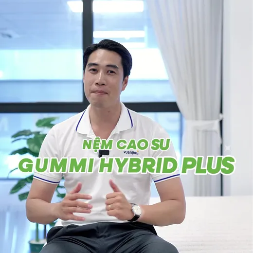 Nệm cao su cân bằng nhiệt 3in1 Gummi Hybrid Plus — 1