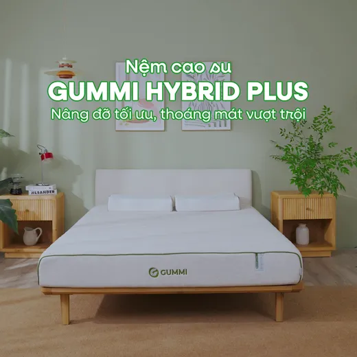 Nệm cao su cân bằng nhiệt 3in1 Gummi Hybrid Plus — 1