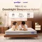Nệm lò xo Goodnight SleepWave Hybrid (Sleep Wave 4.0) giảm tiếng ồn dày 20cm