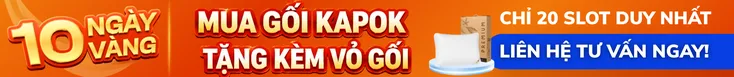 Mini banner - Product Page - Kapok - 10 ngày 