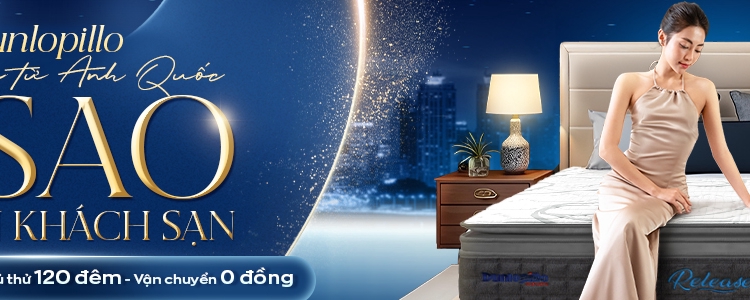 Category khách sạn