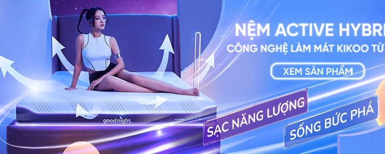 Nệm Foam