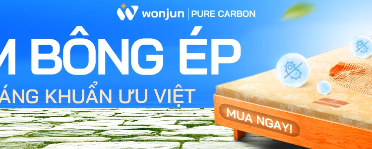Category nệm bông ép