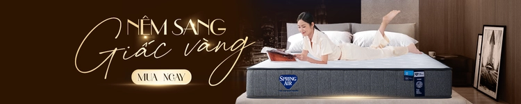 Cate nệm cao cấp