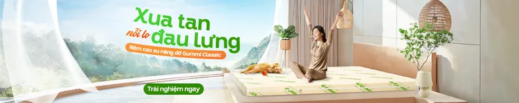 Category nệm đau lưng