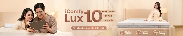 nệm icomfy