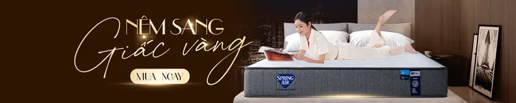 Cate nệm cao cấp