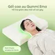 Gối cao su Gummi Contour Ema 40*60*10/12