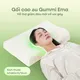 1 Gối cao su Gummi Contour Ema 40*60*10/12