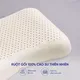 2 Gối cao su Gummi Butterfly 38*56*10