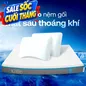 Combo Mát Sâu Đa Tầng 2: 1 đệm Coolax + 2 gối Sofy Air - Ảnh thumb 1