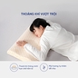 Gối Cao Su Kim Cương Lượn Sóng A - Ảnh thumb 6