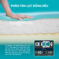 Nệm foam Nhật Bản Aeroflow Fit Plus kháng khuẩn dày 20cm - Ảnh thumb 5