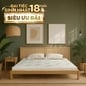 Nệm cao su thiên nhiên Gummi Classic thế hệ mới dày 5/10/15cm - Ảnh thumb 1