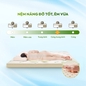 Nệm cao su thiên nhiên Gummi Classic thế hệ mới dày 5/10/15cm - Ảnh thumb 2