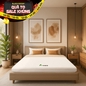 Nệm cao su Gummi 7zones nhập khẩu dày 12cm - Ảnh thumb 1