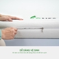 Nệm cao su Gummi 7zones nhập khẩu dày 12cm - Ảnh thumb 5