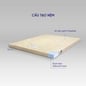 Nệm foam Goodnight Eva gấp 3 nâng đỡ dày 10cm - Ảnh thumb 4