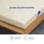 Nệm foam Goodnight Eva gấp 3 nâng đỡ dày 10cm - Ảnh thumb 6
