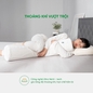 Gối ôm Cao su Gummi Body 100% thiên nhiên thoáng mát - Ảnh thumb 6