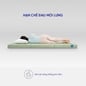 Nệm bông ép Goodnight Nova gấp 3 dày 5/9cm - Ảnh thumb 4