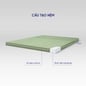 Nệm bông ép Goodnight Nova gấp 3 dày 5/9cm - Ảnh thumb 3