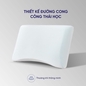 Gối foam iComfy Sofy Air công nghệ Aero Memory Foam độc quyền (BST Ngủ Mát) - Ảnh thumb 3