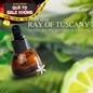 Tinh dầu Sasana Ray Of Tuscany - Ảnh thumb 1