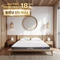 Nệm cao su đa tầng Goodnight Latex Hybrid (Rena) vững chắc, thông thoáng dày 10cm - Ảnh thumb 1