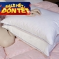 Gối Lông Vũ Giang Sơn Down - Ảnh thumb 1